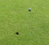 1-pitch-2.jpg